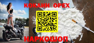 стаф Заводоуковск