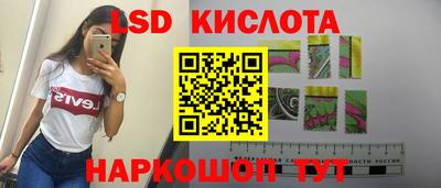 стаф Заводоуковск