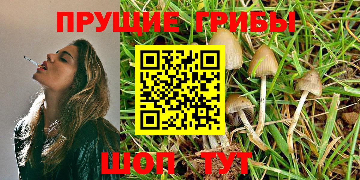 Галлюциногенные грибы MAGIC MUSHROOMS Озёры
