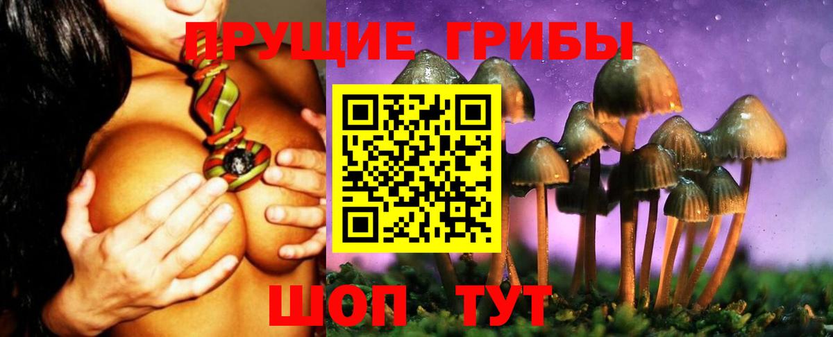 Озёры  Галлюциногенные грибы Cubensis  Вход с VPN 